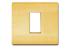 Champgne Gold | Vinayak Electricals